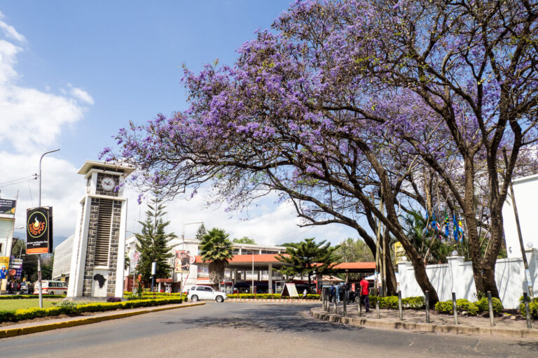 Best Time To Visit Arusha