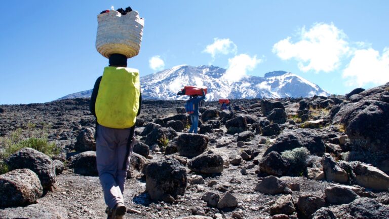 Fair Work For Porter In Mount Kilimanjaro