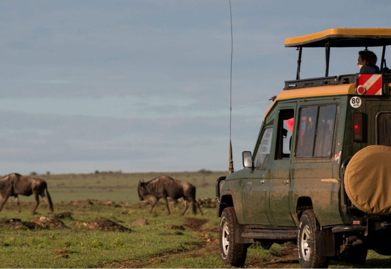 What To Avoid When Doing Safari Trips With Car Conditions?